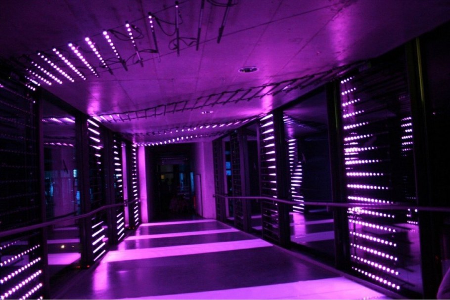 Лиловый цвет