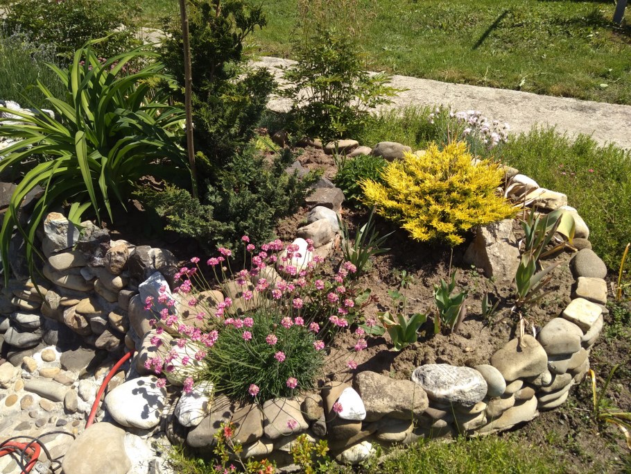 Рокарий с альпийской горкой