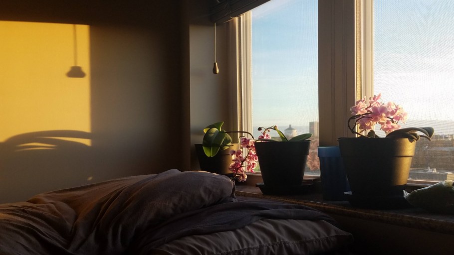 Уютное окно