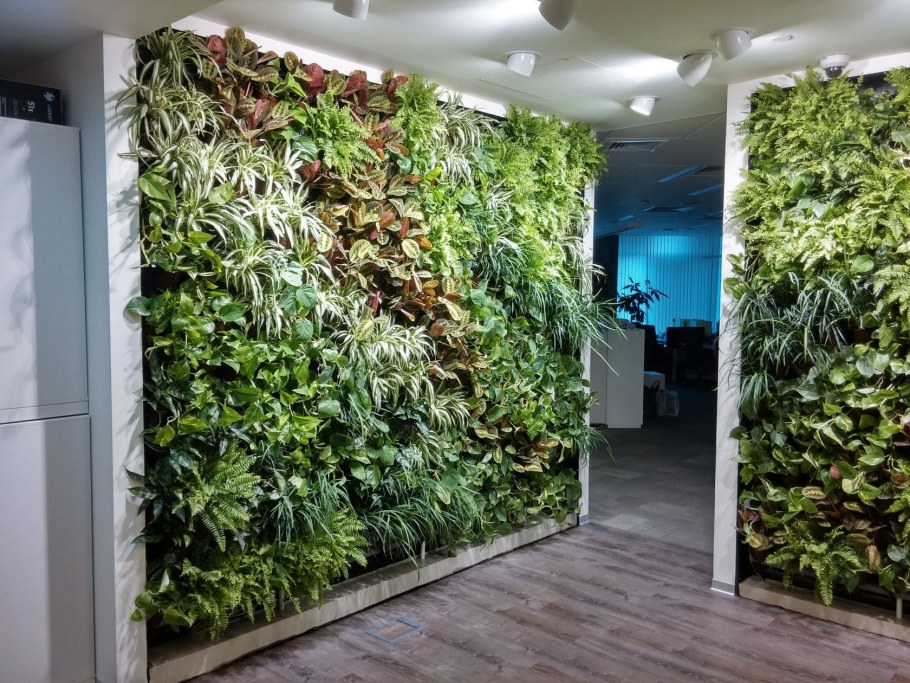 Вертикальное Озеленение Фитокартина