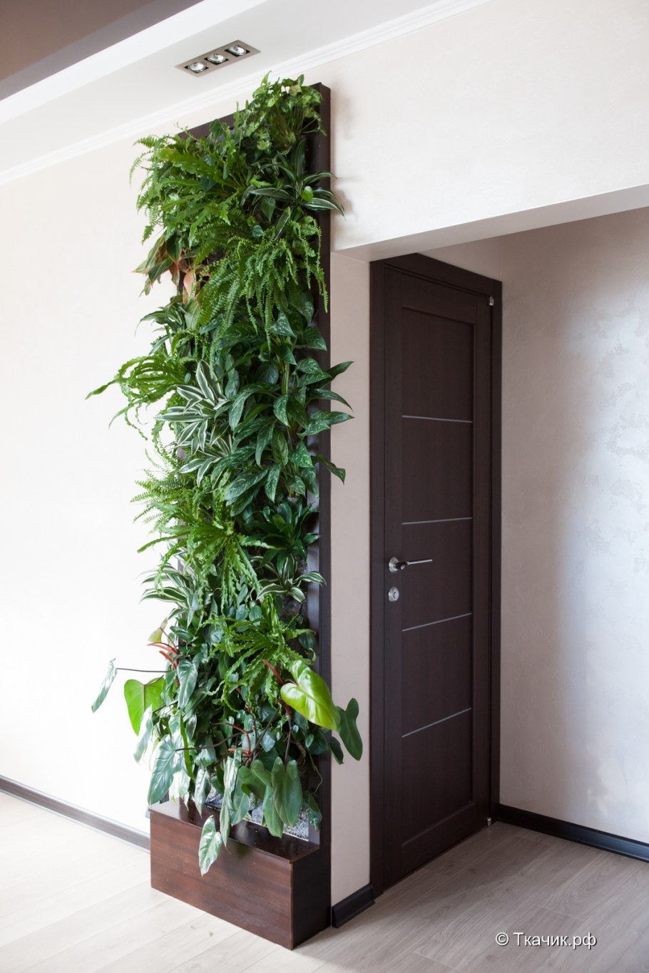 Green Sun фитостена