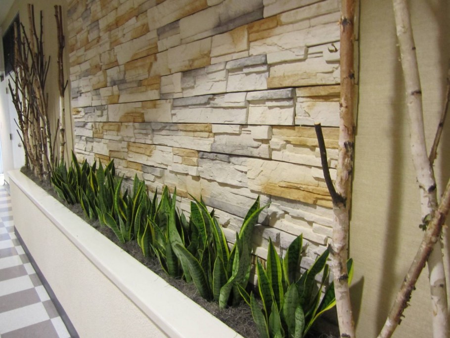 Растения в нише в стене