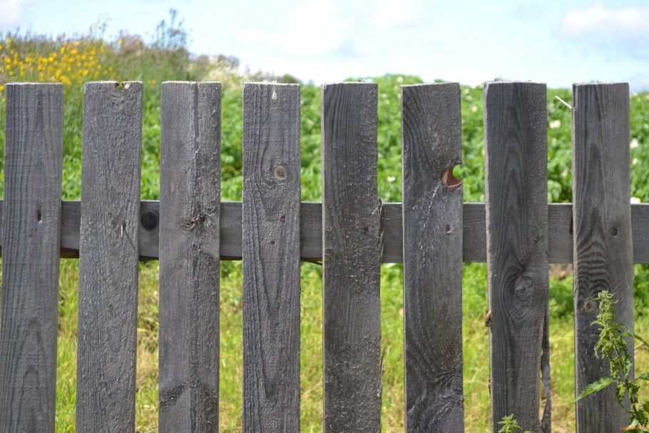 Старый забор