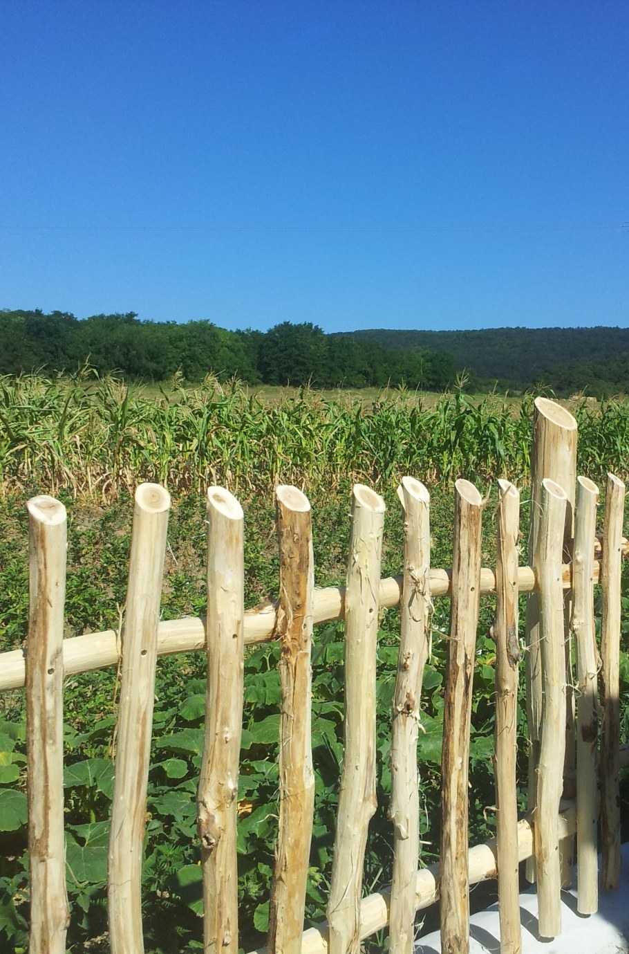 Забор из дерева