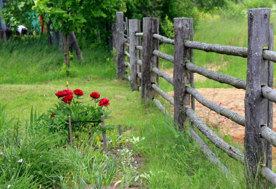 Жердяная изгородь