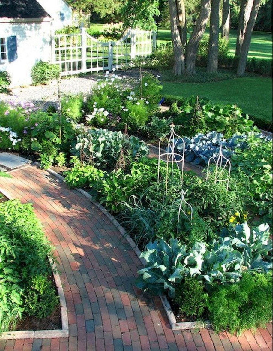 Обустройство сада и огорода