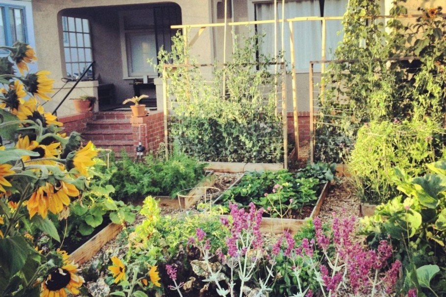 Цветник на 6 сотках с огородом, домом и бассейном