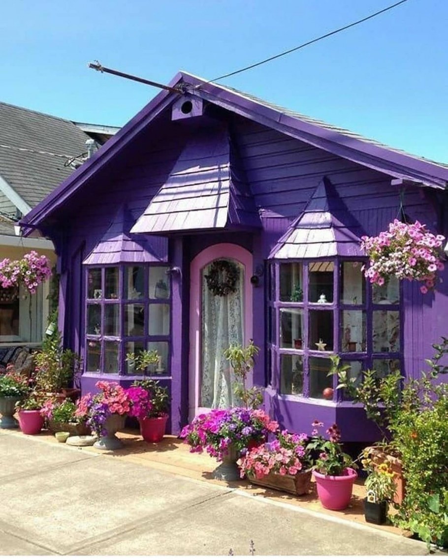Фиолетовый домик