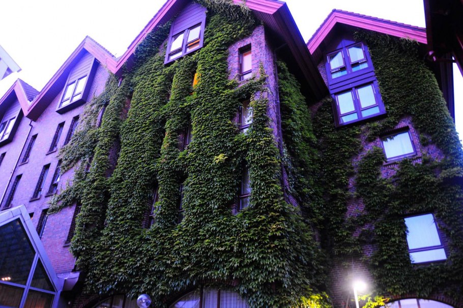 Сиреневый фасад здания