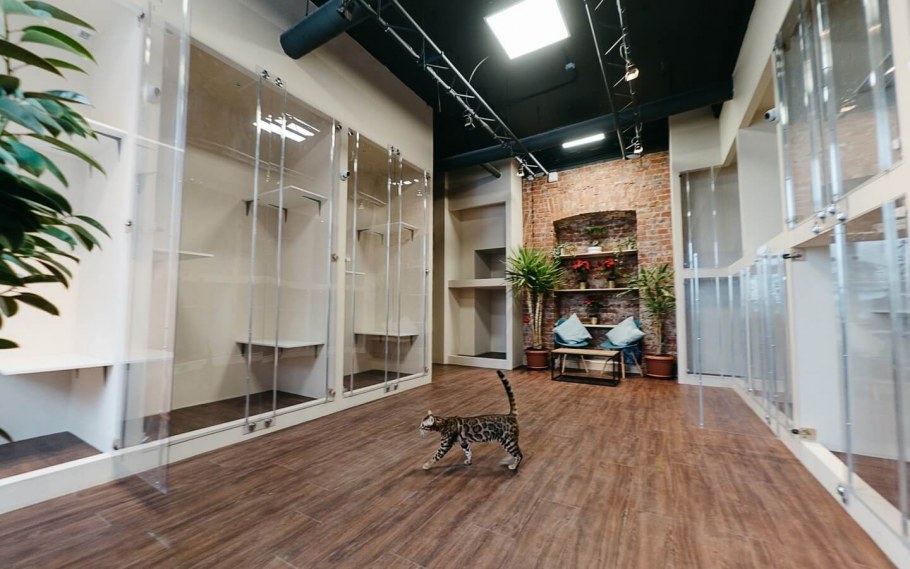 Салон мебели Москва