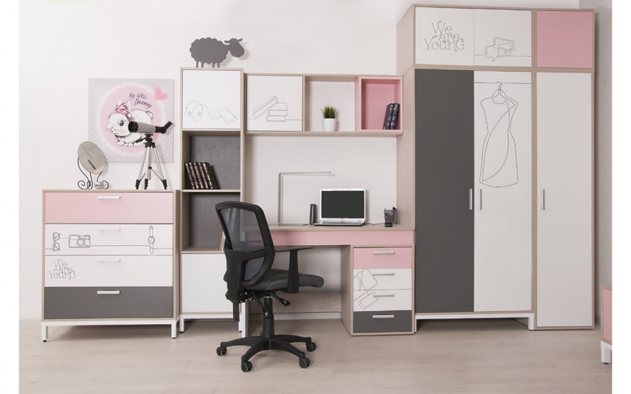 Портэ ш2 шкаф Мирлачев