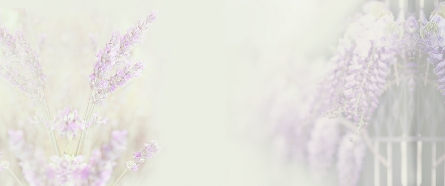 Кухня Прованс Лаванда