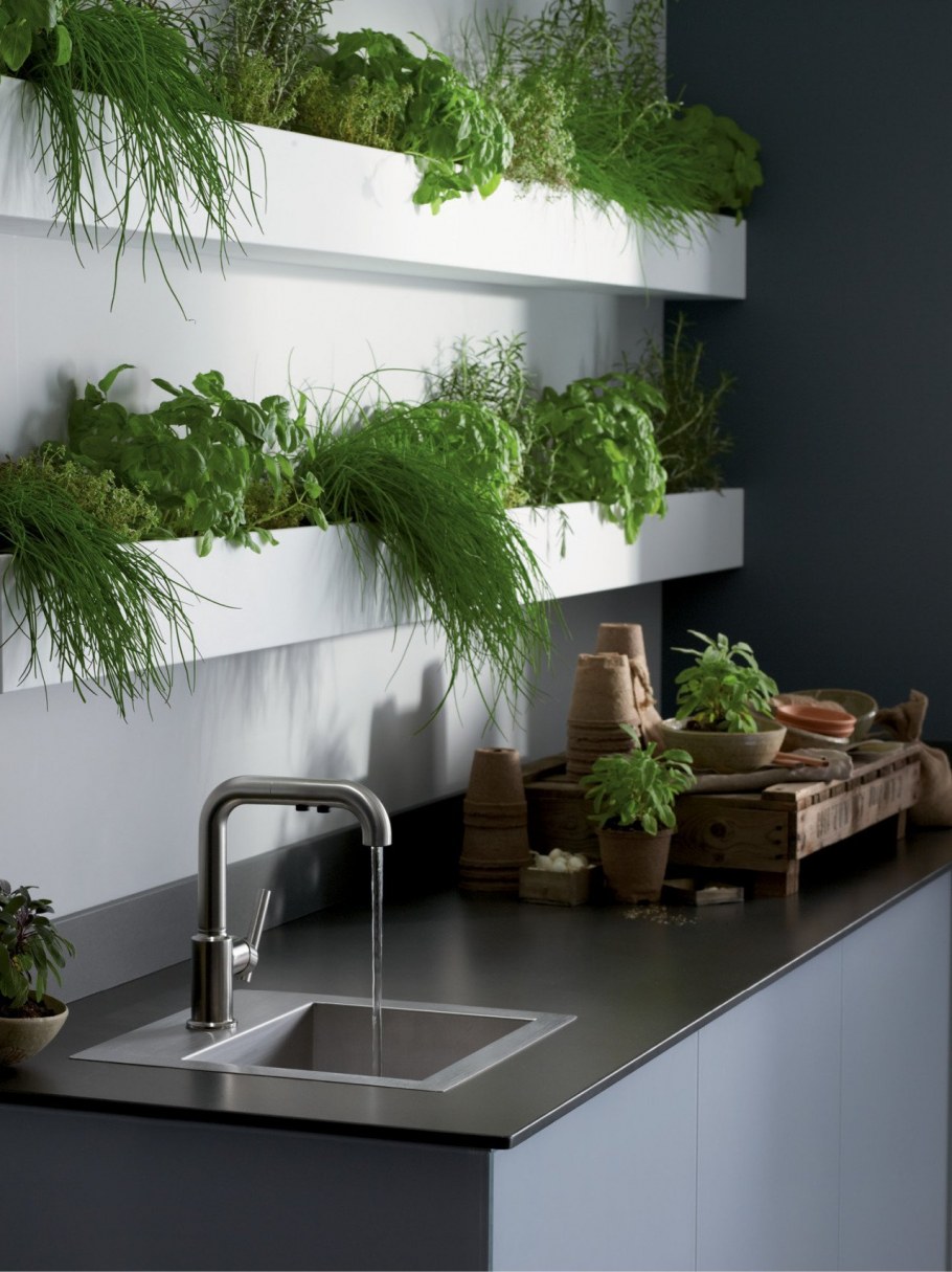 Живые цветы на кухне