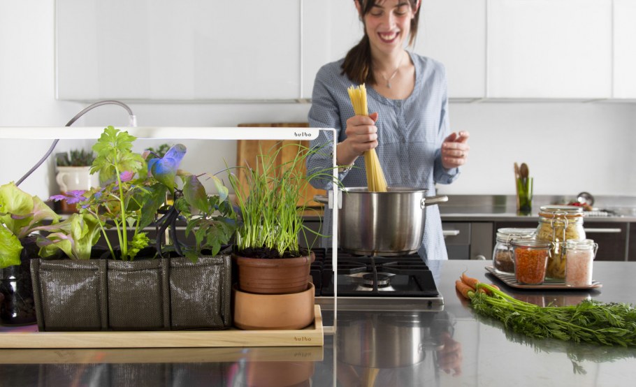 Комнатные растения на кухне