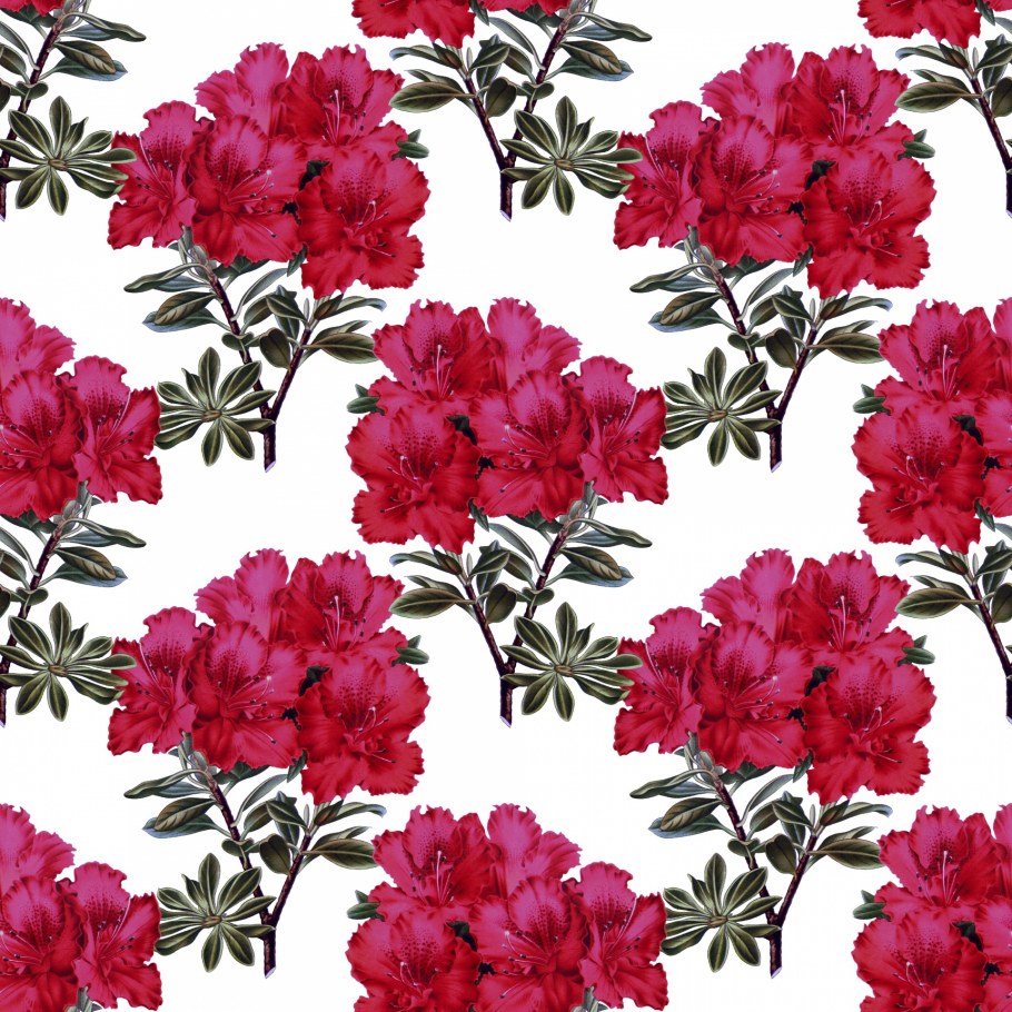 Кухня Азалия угловая