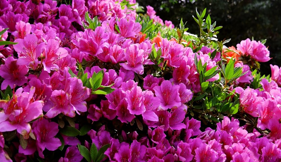 Комбинирование обоев в комнате