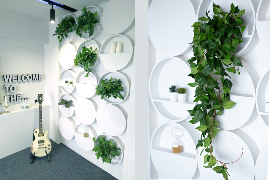 Комнатные цветы для вертикального озеленения