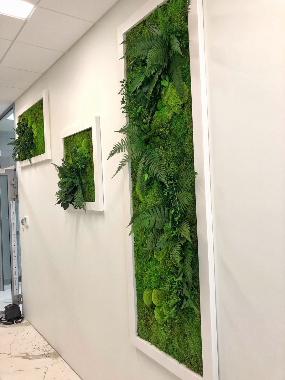 Фитостена в интерьере