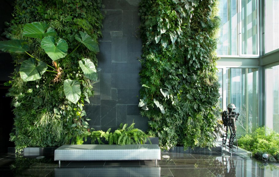 Панно из комнатных растений