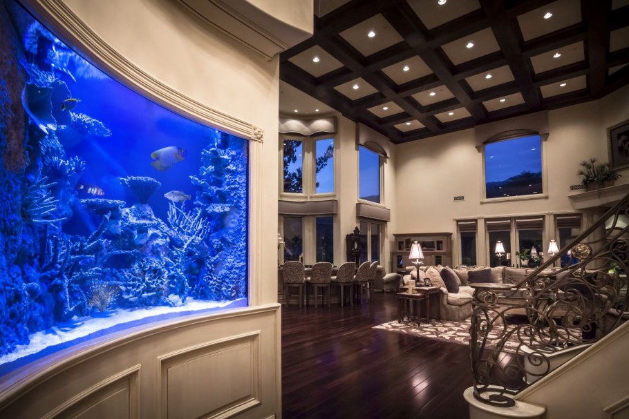 Большие аквариумы