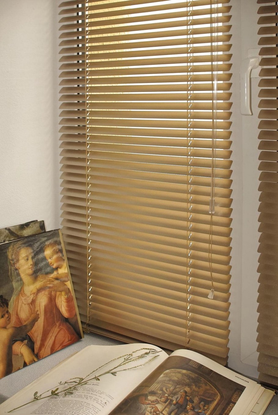 Жалюзи горизонтальные СГЖ-900 070/160 РБ,