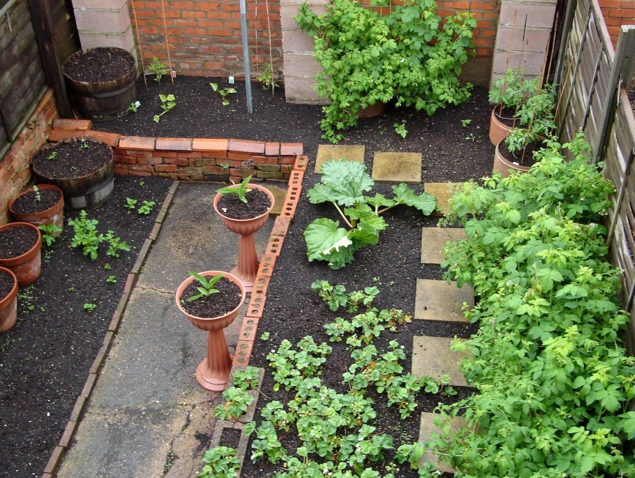 Огород на одной сотке