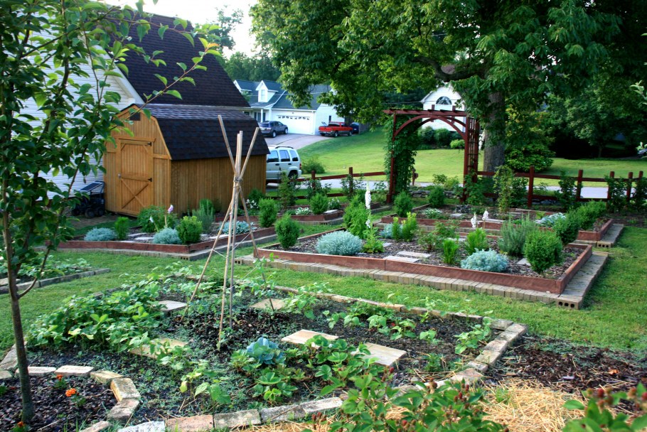 Огород на Лесном участке