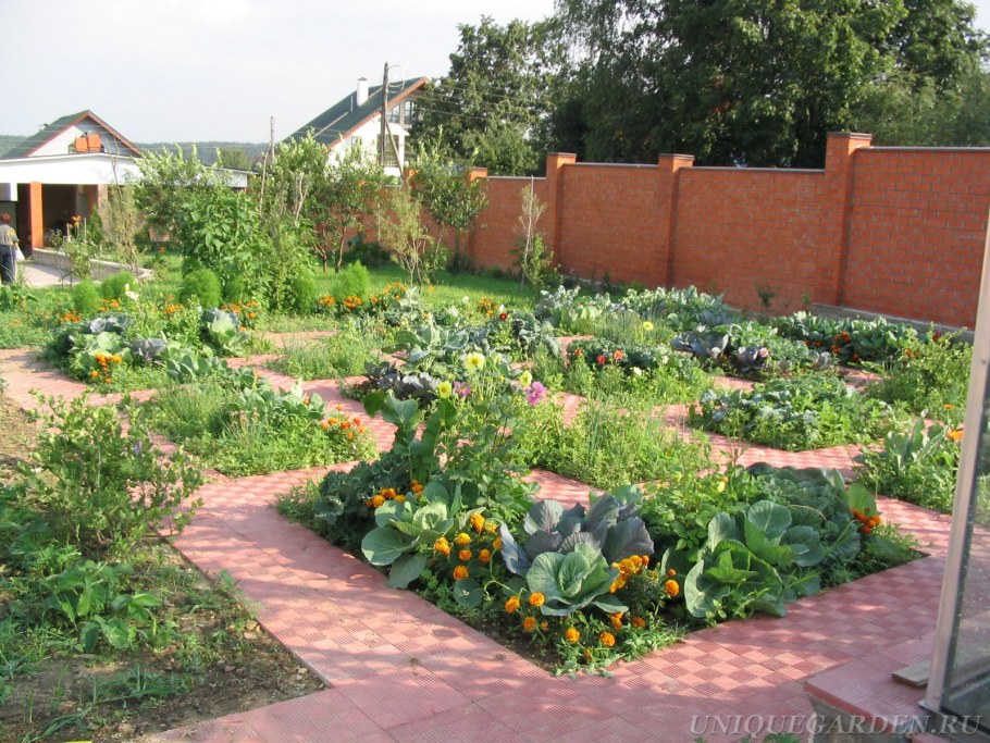 Зона посадки на дачном участке