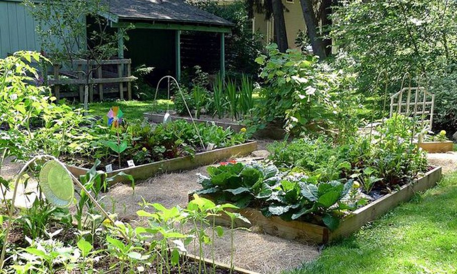 Огород 6 соток