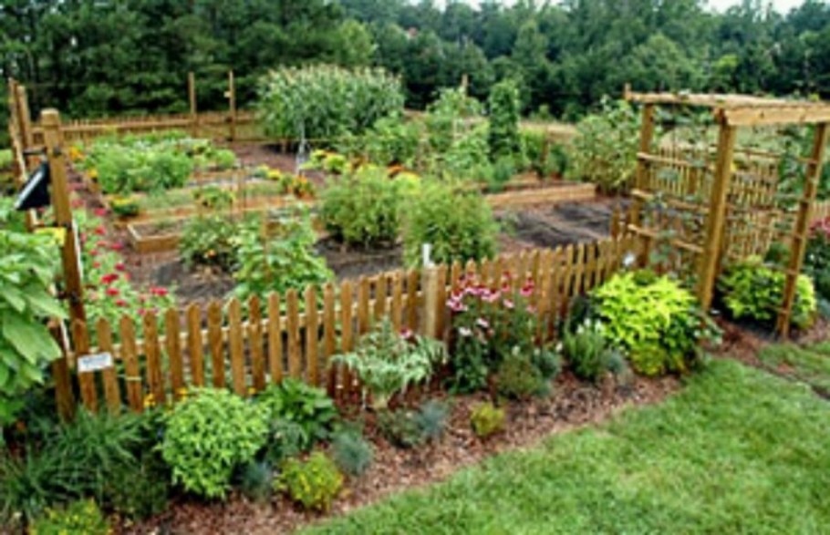 Разделение огорода и сада