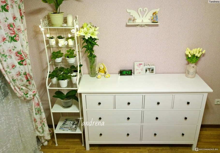 Коллакс и РЕНШЭР вместе в интерьере