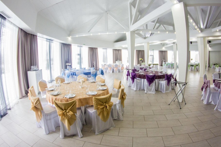 NCS S 0603-y20r цвет