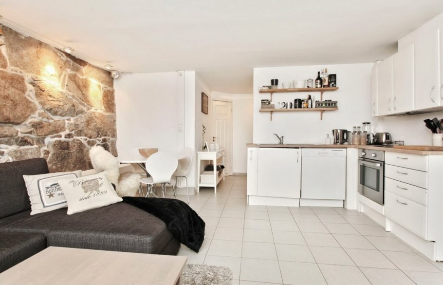 Кухня студия со спальным местом