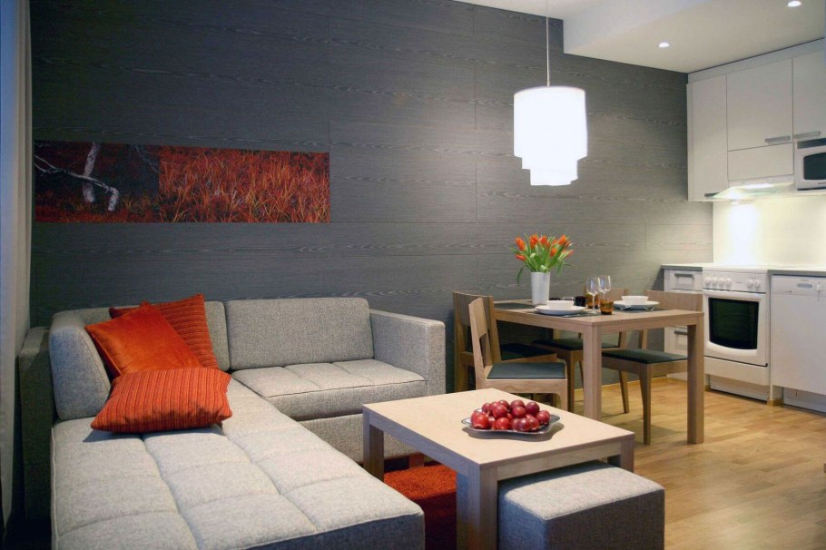 Маленькая кухня гостиная с диваном