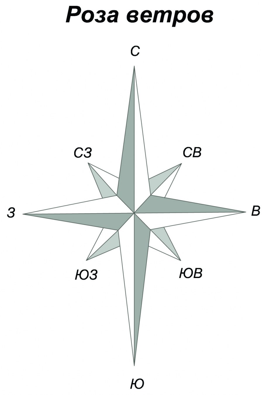 Компас на белом фоне