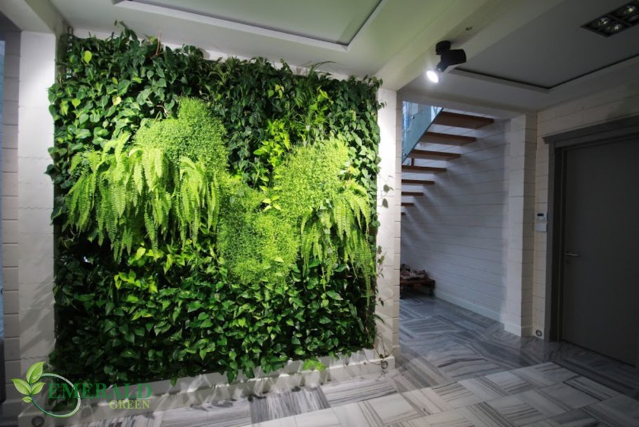 Нефролепис вертикальное Озеленение