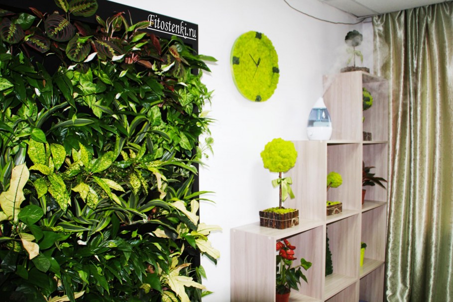 Green Sky фитостены