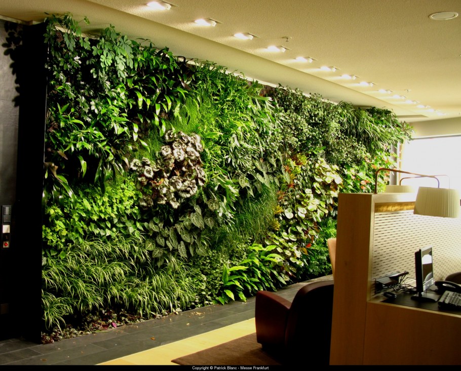 Фитостена из овощей