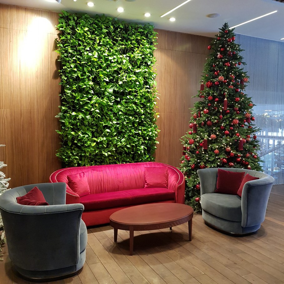 Фитодизайн новый год