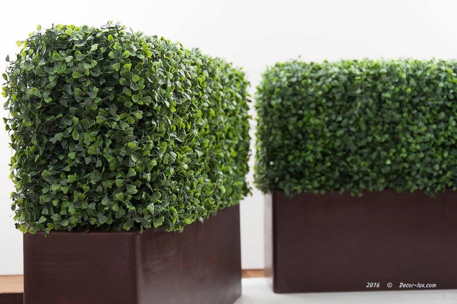 Лучано Джубили ландшафтный дизайнер