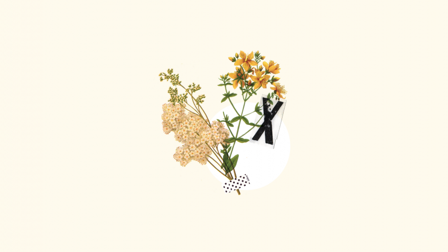 Минималистичные цветы арт