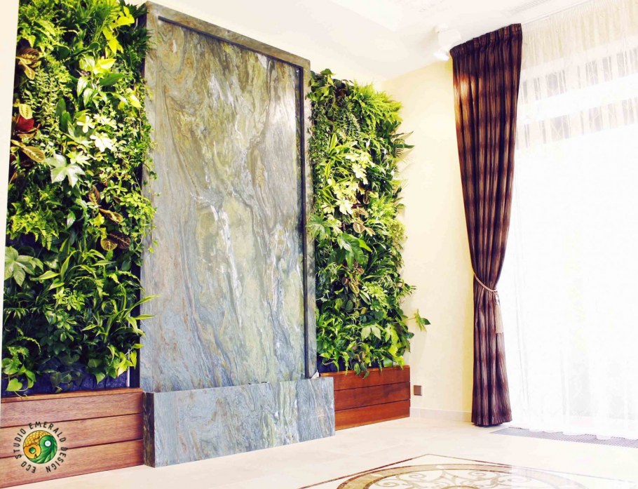 Фитостена джунгли