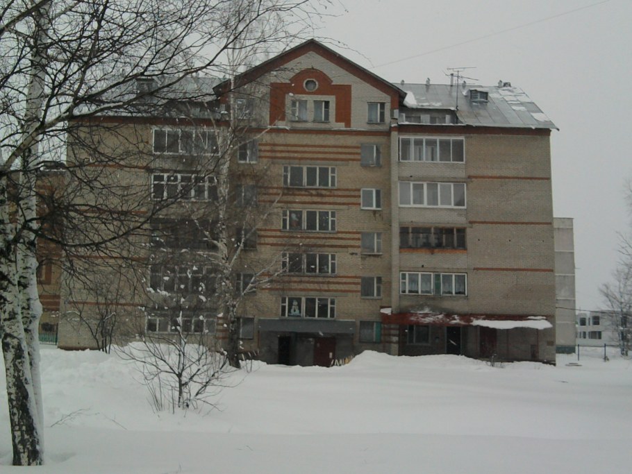 Квартира 4 комнатная Выборная