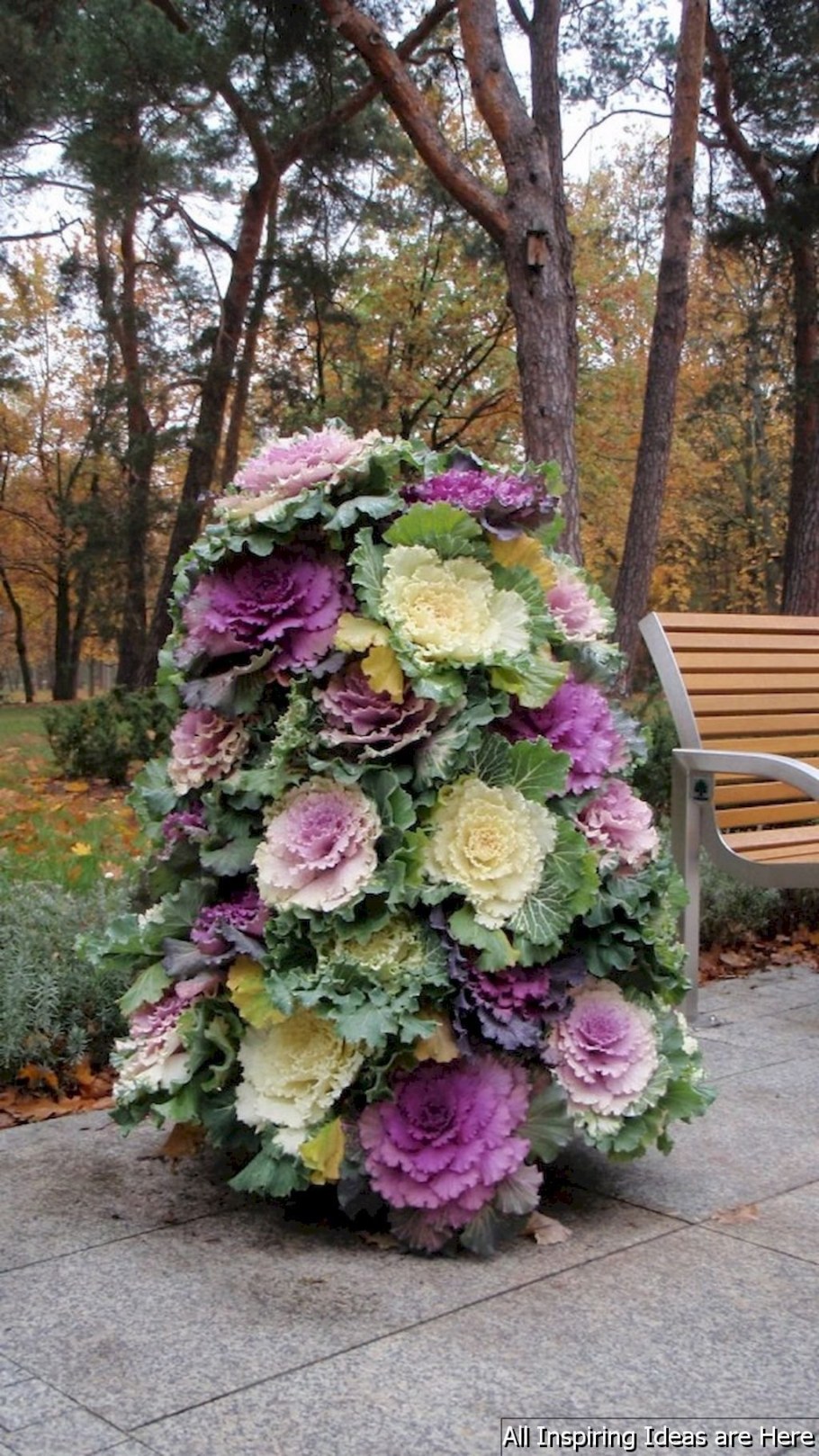 Капуста декоративная