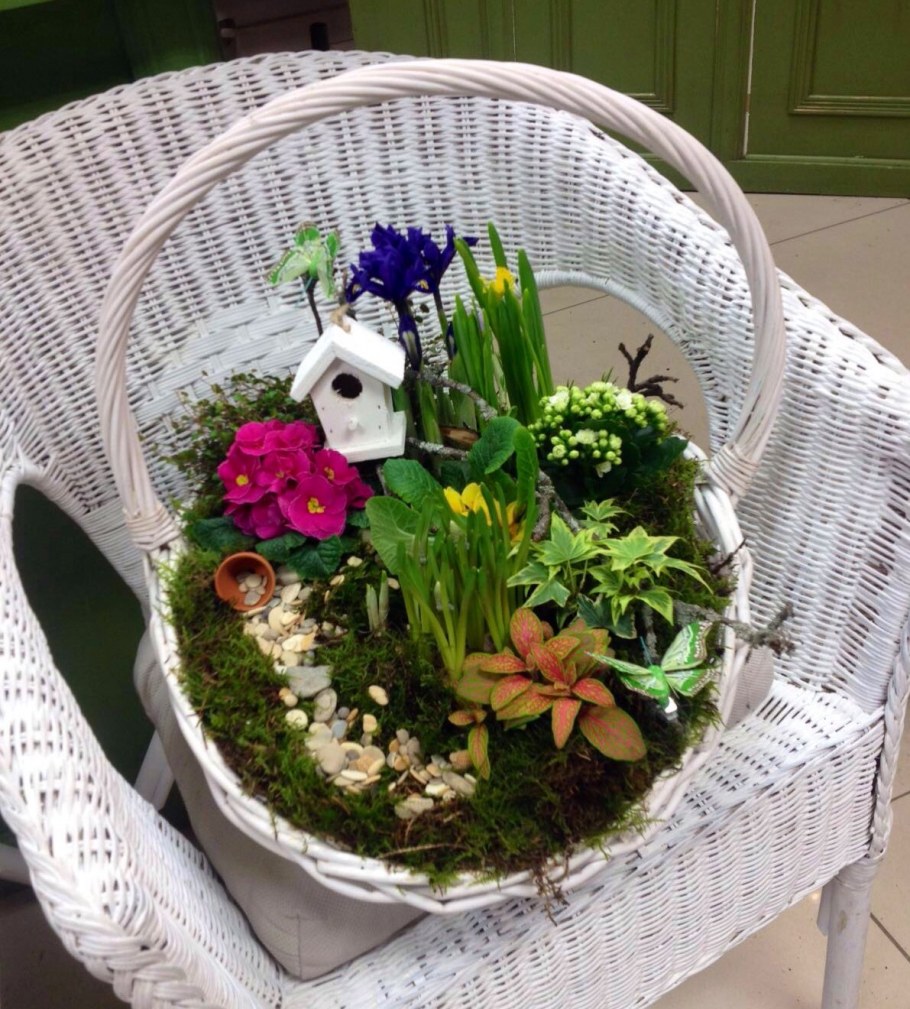 Цветочные композиции в горшках