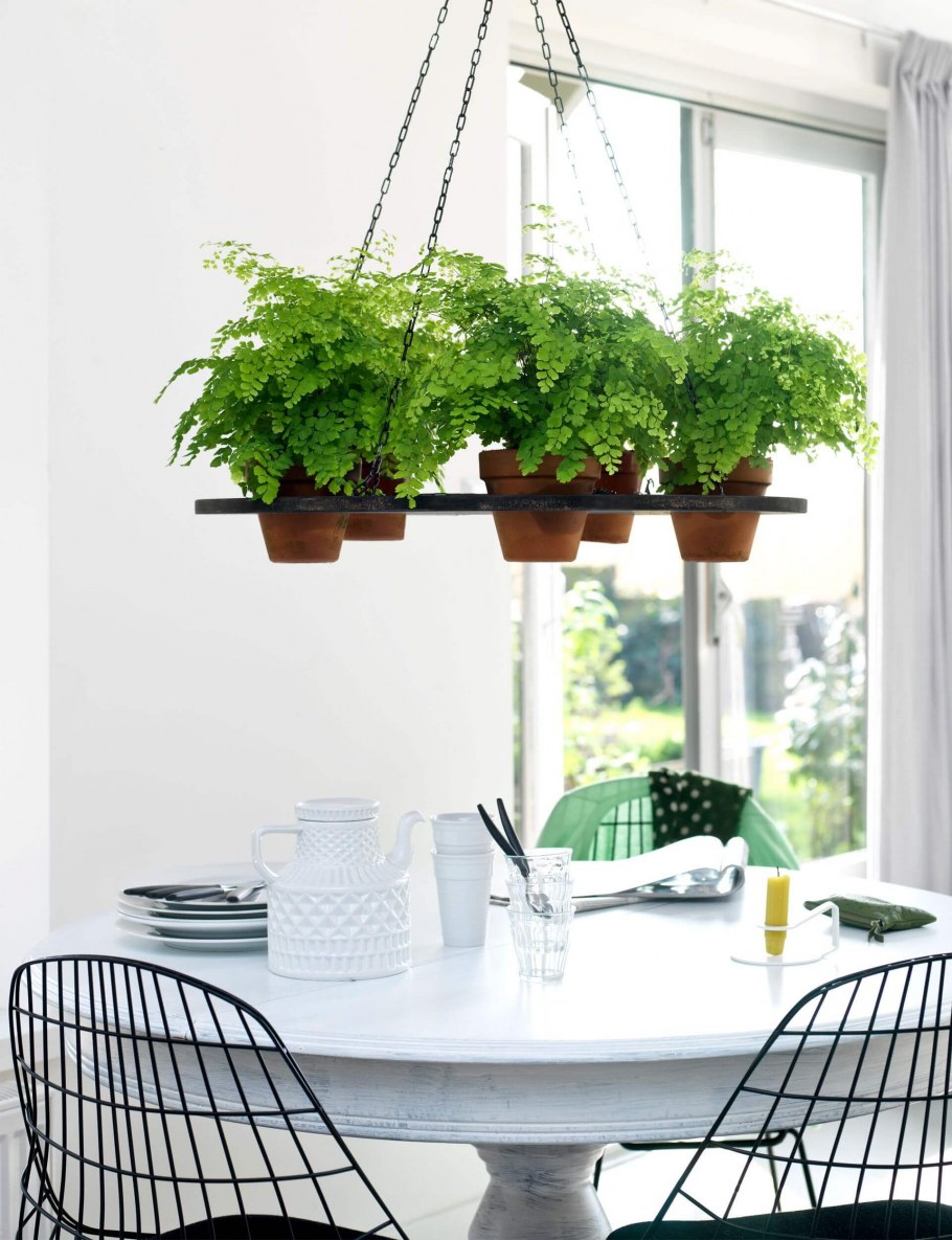 Комнатные растения в интерьере