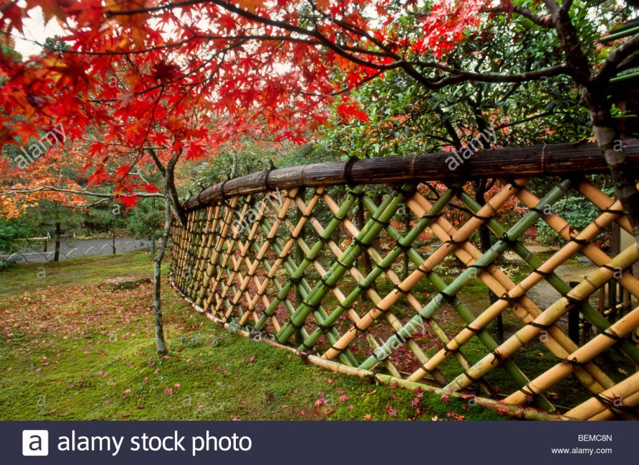 Бамбуковый заборчик в японском саду