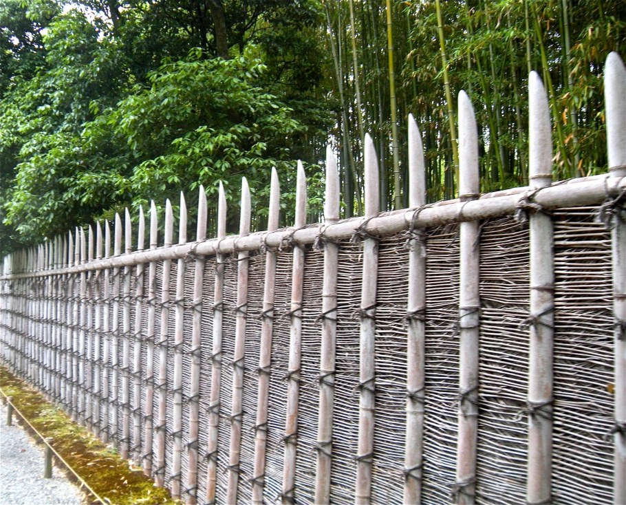 Китайская Ивовая изгородь