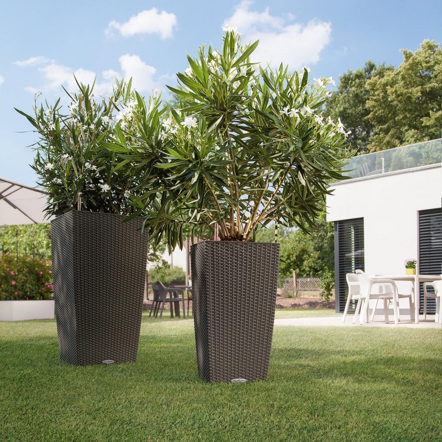 Кашпо Lechuza cubico 56