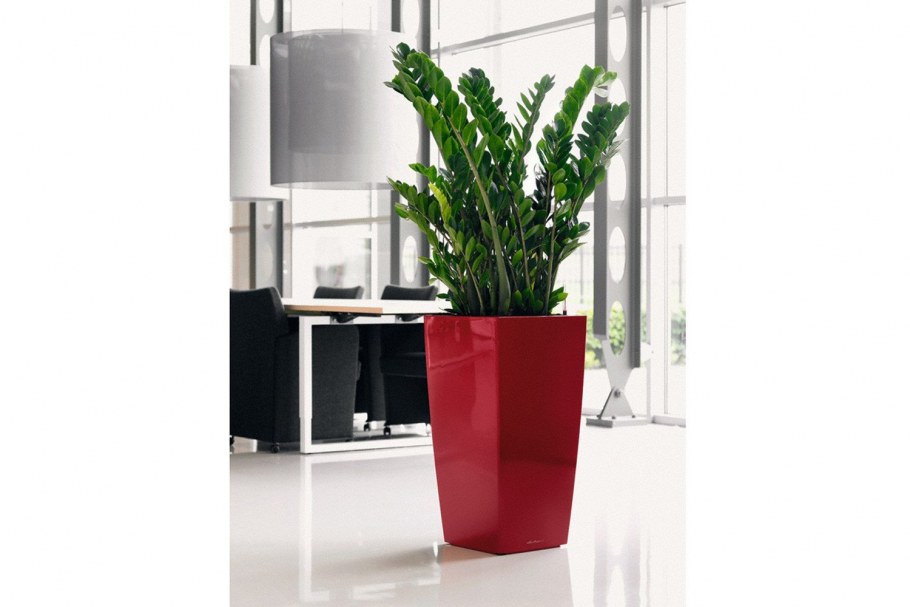 Кашпо Lechuza Кубико